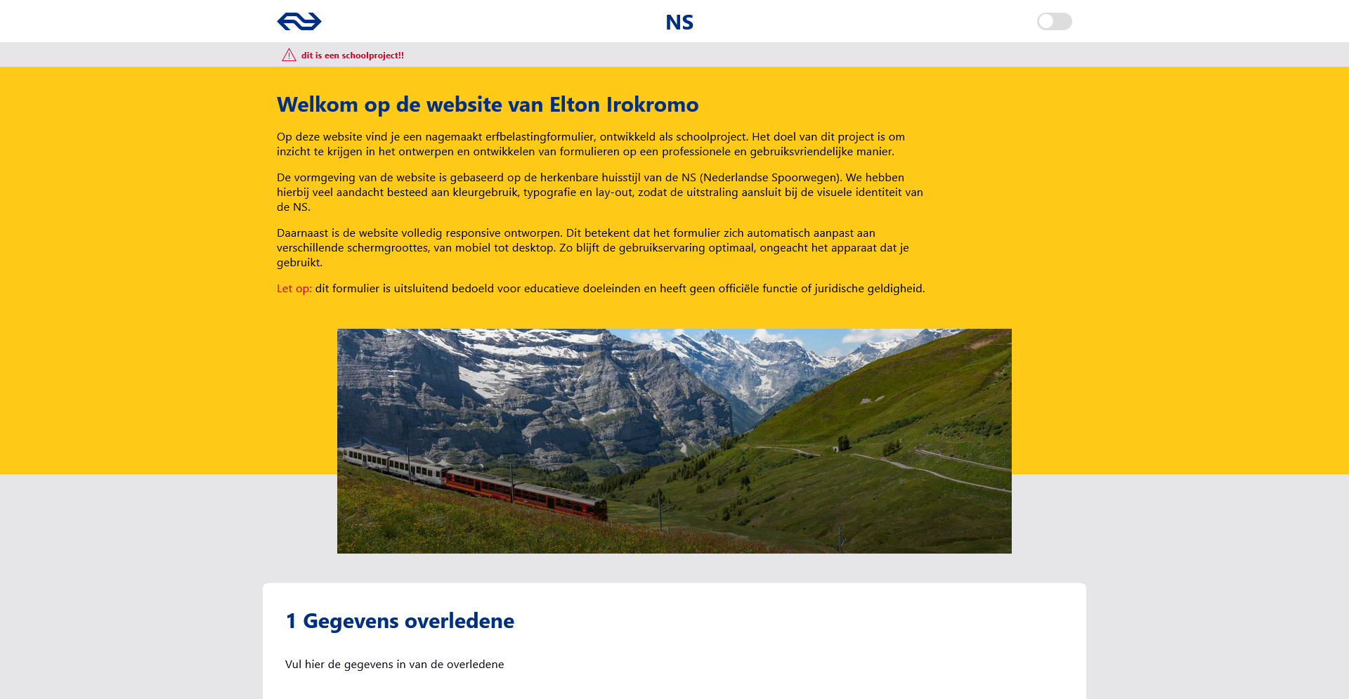NS project